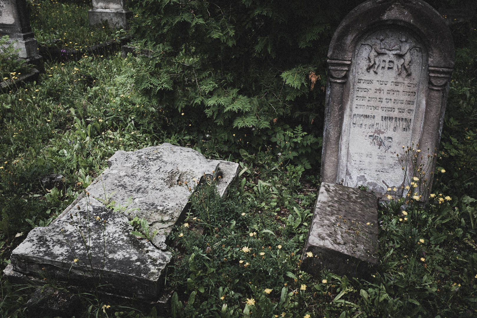 Eschwege, Jüdischer Friedhof